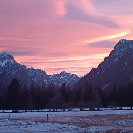 Turisticna Kmetija Psnak Apartment Mojstrana Luaran gambar