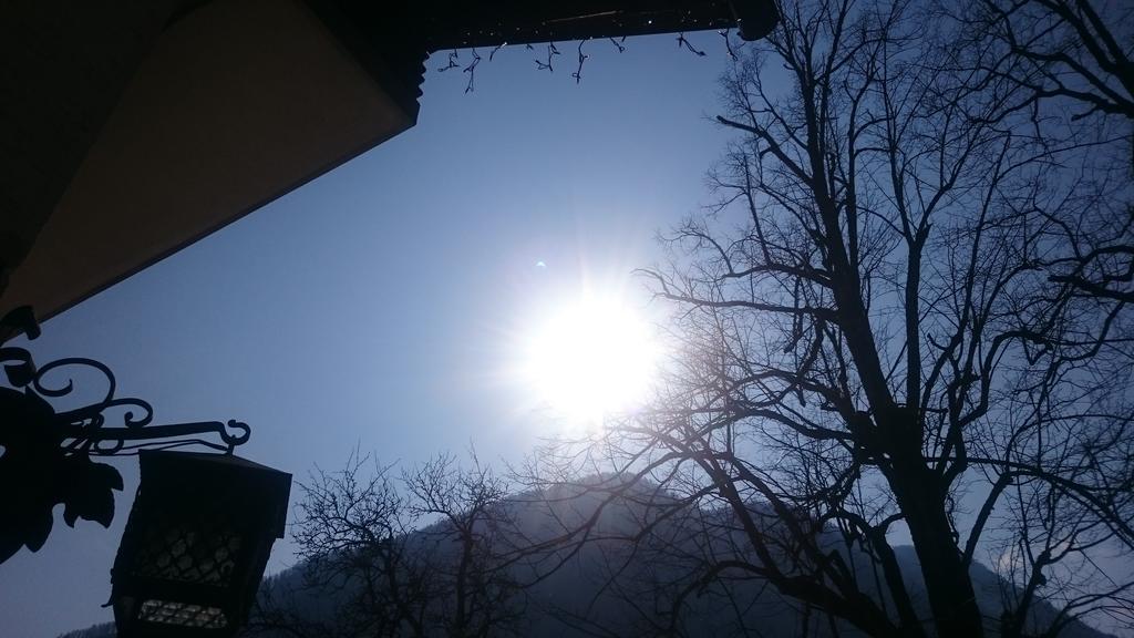 Turisticna Kmetija Psnak Apartment Mojstrana Luaran gambar