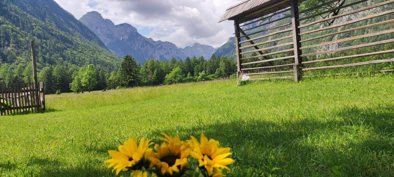 Turisticna Kmetija Psnak Apartment Mojstrana Luaran gambar