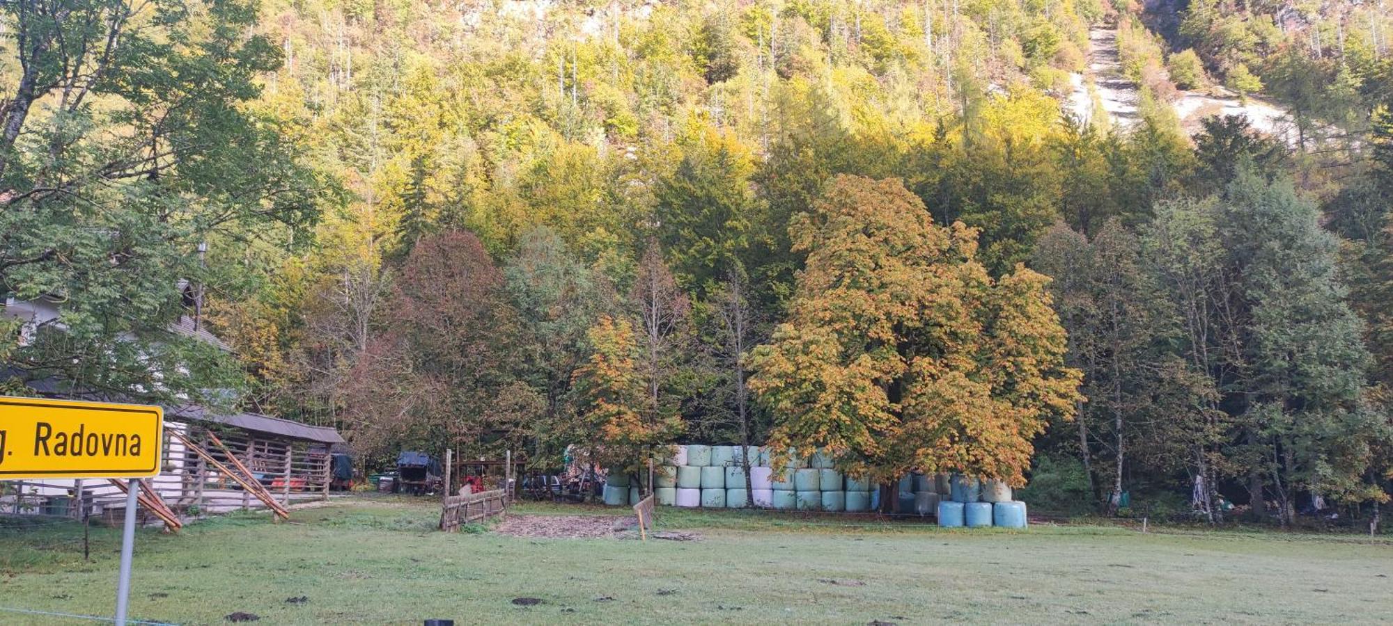 Turisticna Kmetija Psnak Apartment Mojstrana Luaran gambar