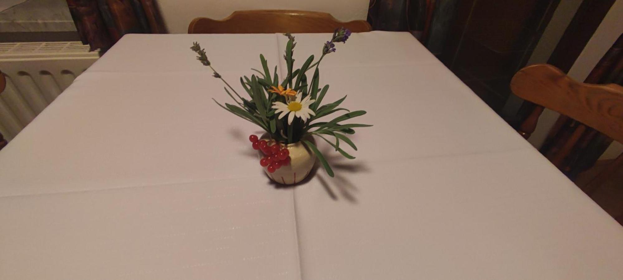 Turisticna Kmetija Psnak Apartment Mojstrana Luaran gambar