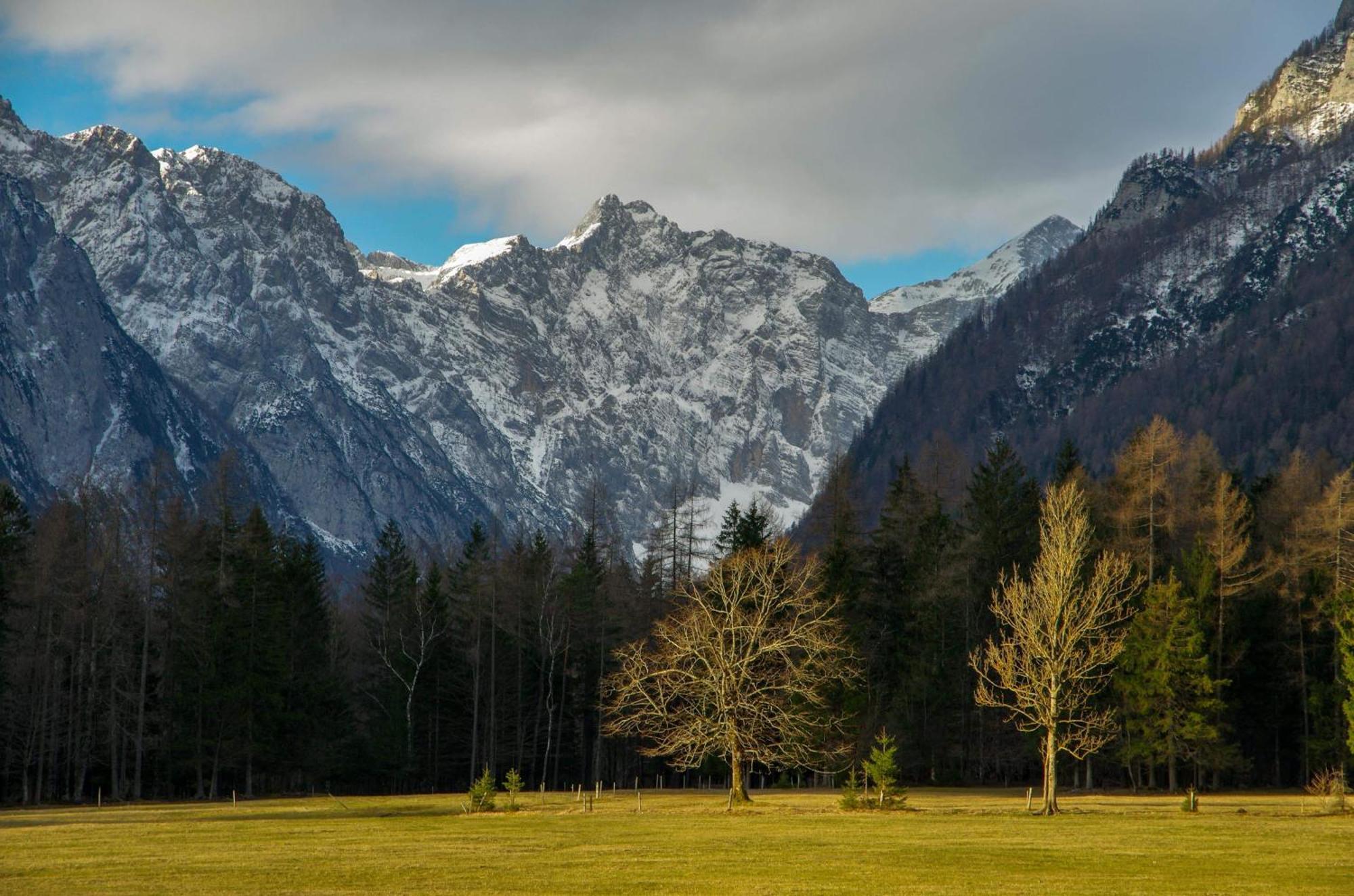 Turisticna Kmetija Psnak Apartment Mojstrana Luaran gambar