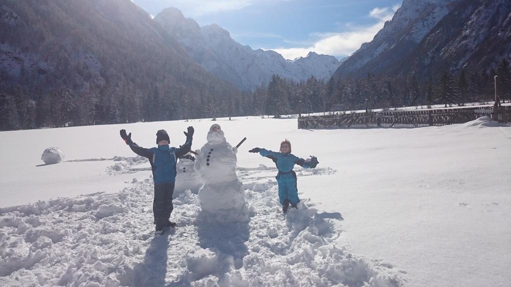 Turisticna Kmetija Psnak Apartment Mojstrana Luaran gambar