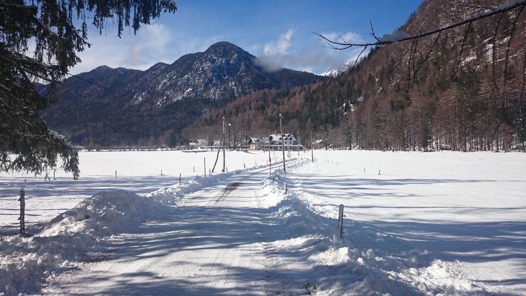 Turisticna Kmetija Psnak Apartment Mojstrana Luaran gambar