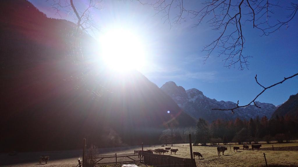 Turisticna Kmetija Psnak Apartment Mojstrana Luaran gambar