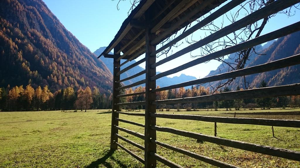 Turisticna Kmetija Psnak Apartment Mojstrana Luaran gambar