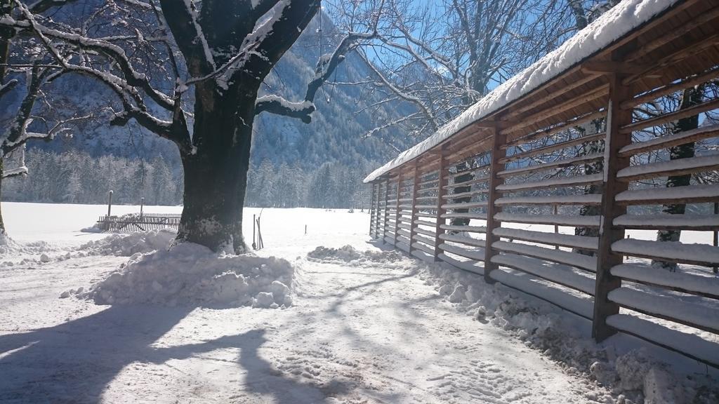 Turisticna Kmetija Psnak Apartment Mojstrana Luaran gambar