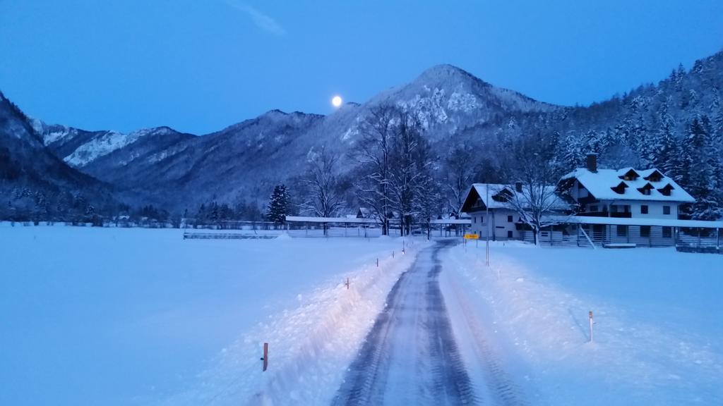 Turisticna Kmetija Psnak Apartment Mojstrana Luaran gambar