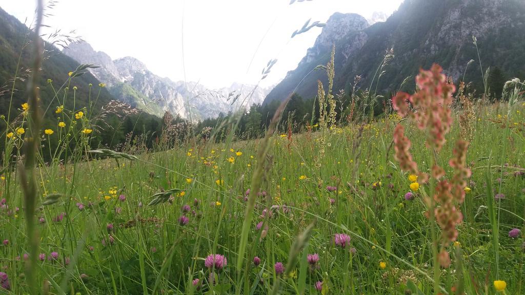 Turisticna Kmetija Psnak Apartment Mojstrana Luaran gambar