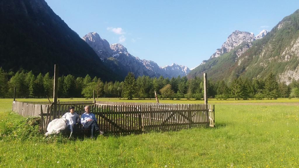 Turisticna Kmetija Psnak Apartment Mojstrana Luaran gambar