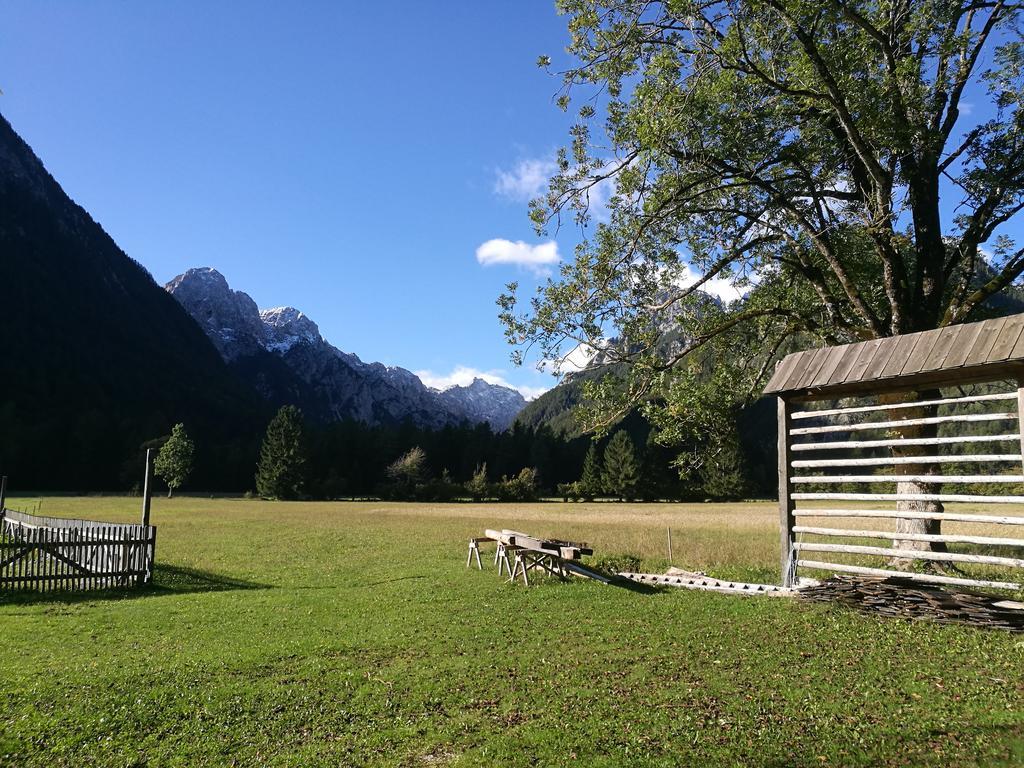 Turisticna Kmetija Psnak Apartment Mojstrana Luaran gambar