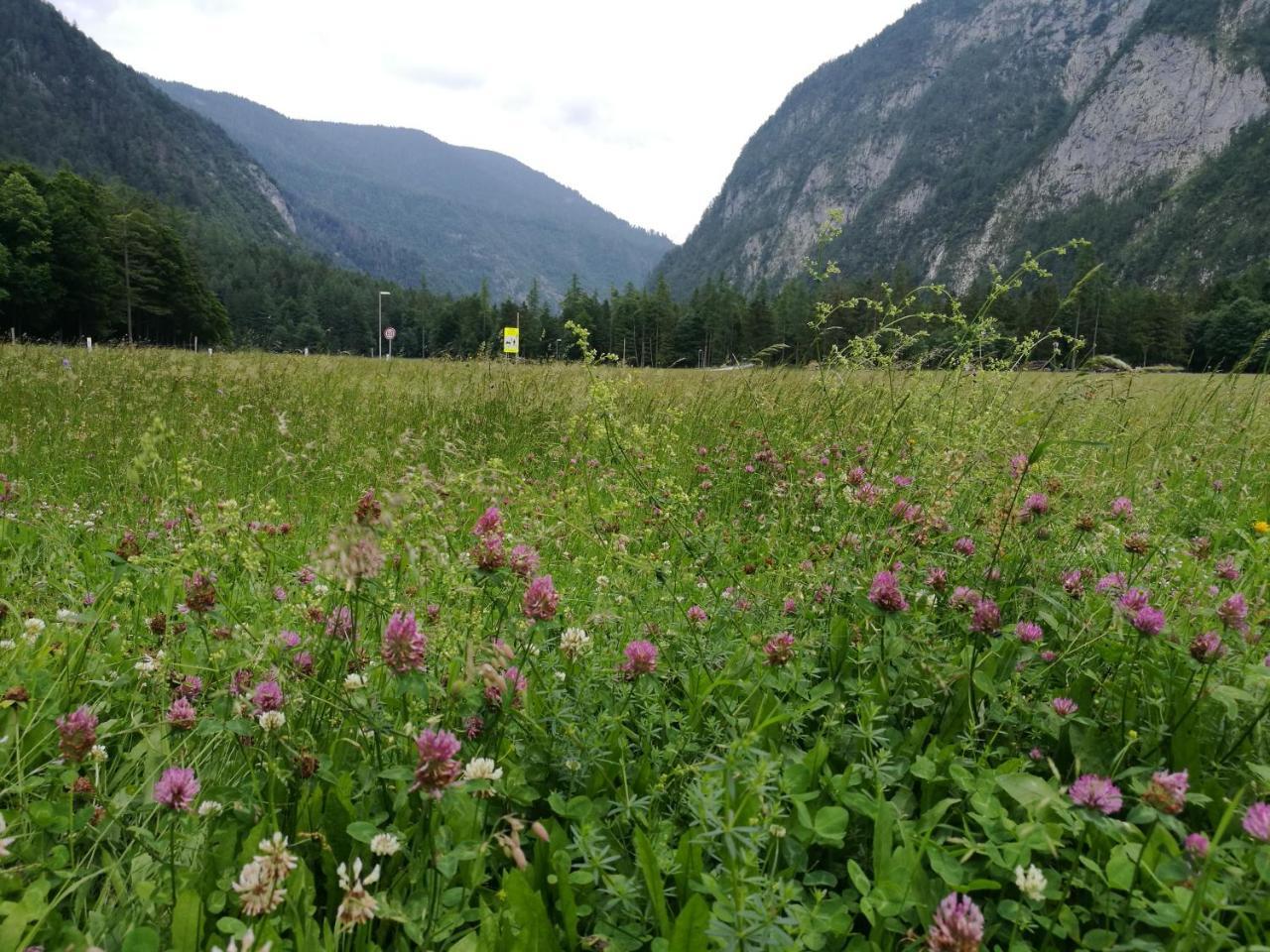 Turisticna Kmetija Psnak Apartment Mojstrana Luaran gambar