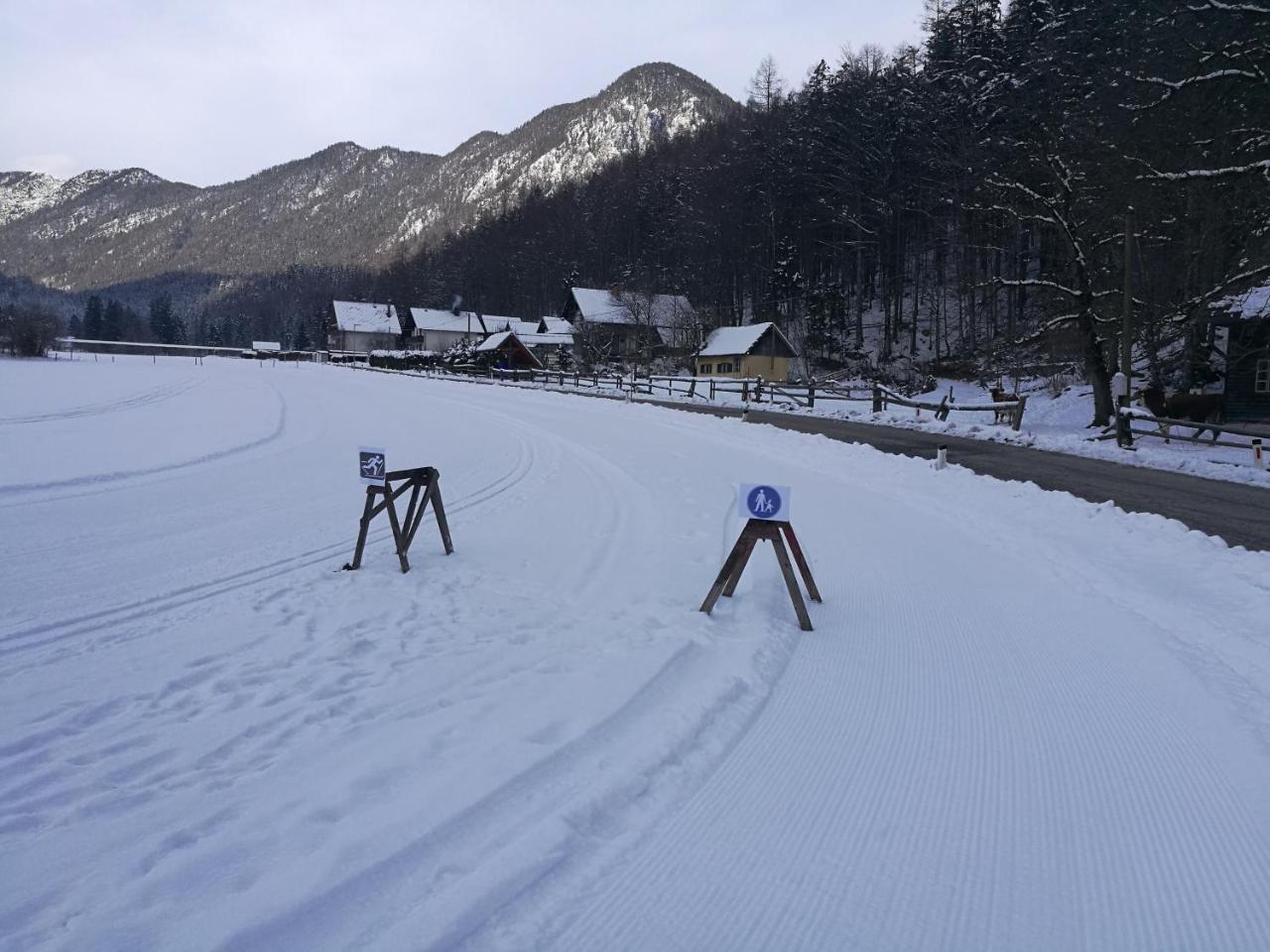 Turisticna Kmetija Psnak Apartment Mojstrana Luaran gambar