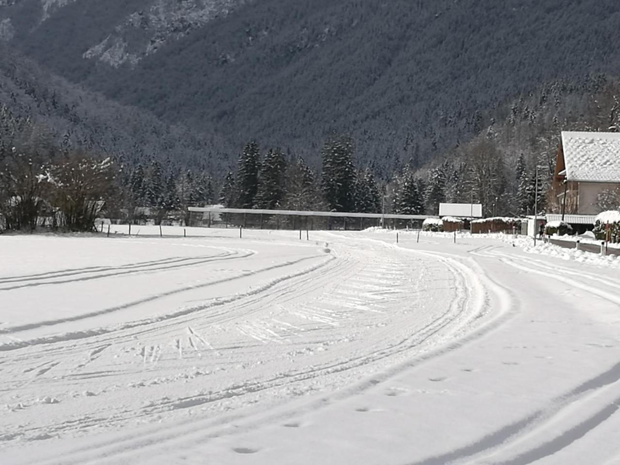 Turisticna Kmetija Psnak Apartment Mojstrana Luaran gambar